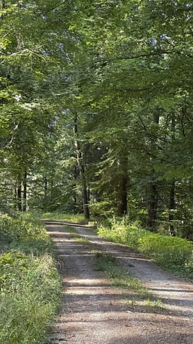Finkenberg Runde