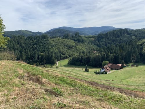 Oberkircher Brennersteig