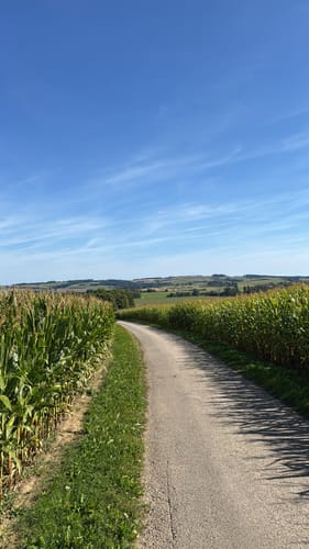 Rund um die Burgruine Schönecken (Schönecken Nr. 24)