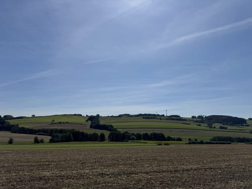 Rund um die Burgruine Schönecken (Schönecken Nr. 24)
