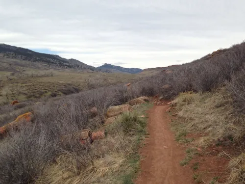 Best Hiking Trails in Fort Collins