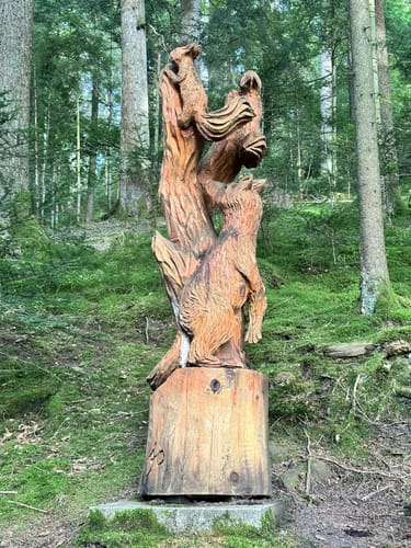 Tannenriesen (Premiumwanderweg)