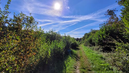 Alter Pilgerweg