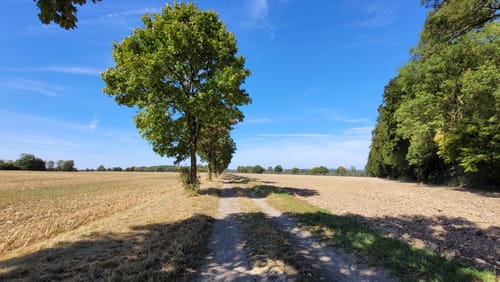 Alter Pilgerweg