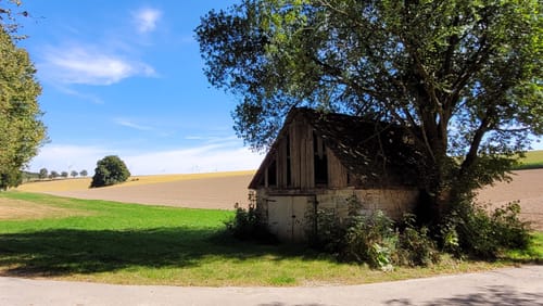 Alter Pilgerweg