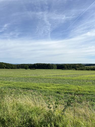 Marloffstein - Adlitz