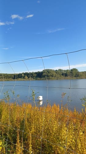 Norderteich-Rundweg
