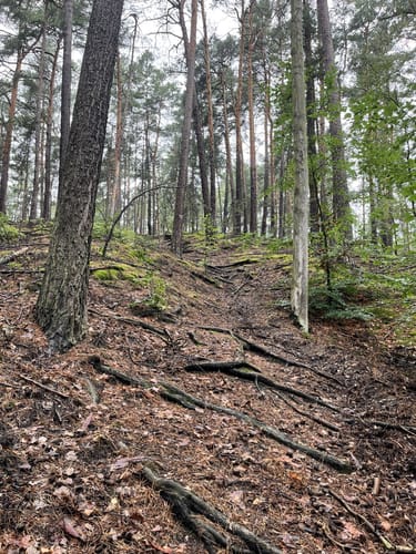 Runde bei Cabel