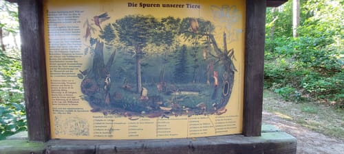 Naturlehrpfad Dahlenberg