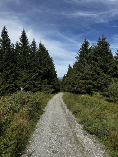 Fichtelsee - Schneeberg - Ochsenkopf