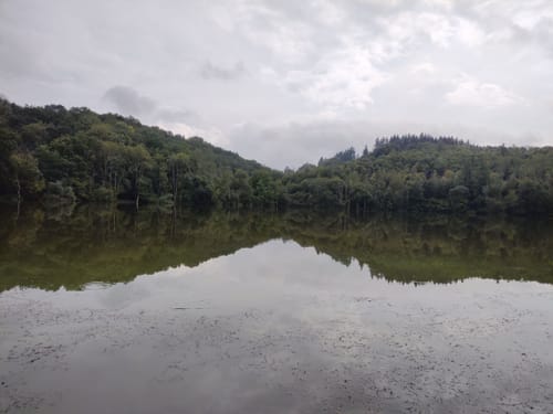 Um Pulvermaar und Immenrather Maar