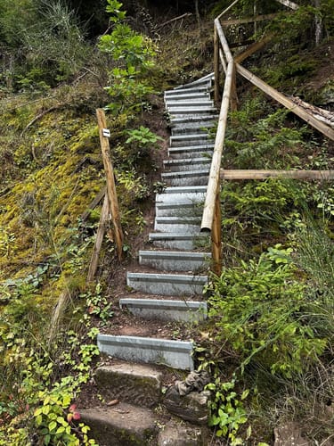 Wolfsgrube (Premiumwanderweg)