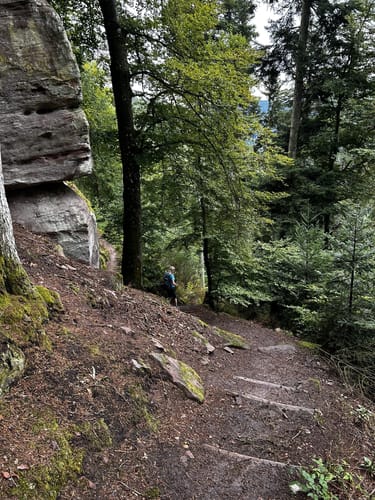 Wolfsgrube (Premiumwanderweg)