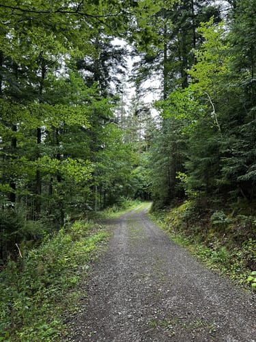 Wolfsgrube (Premiumwanderweg)