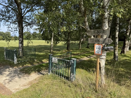 Durchs Habernisser Moor