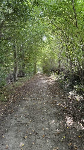 Durchs Habernisser Moor