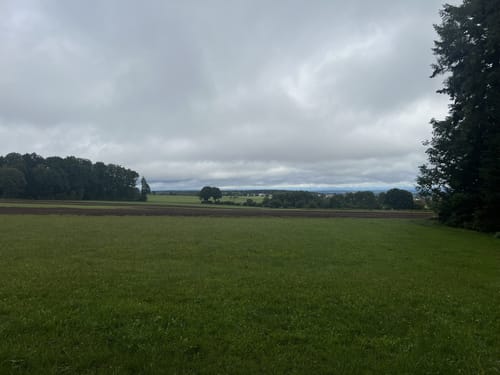 Felsenmeer zur Langenbrander Höhe