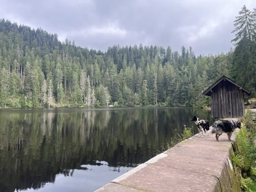 Glaswaldsee - Teufelskanzel - Südliche Griesbacher Wasserfälle