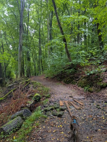 Münchwiesener Spitzbubenweg 13/14