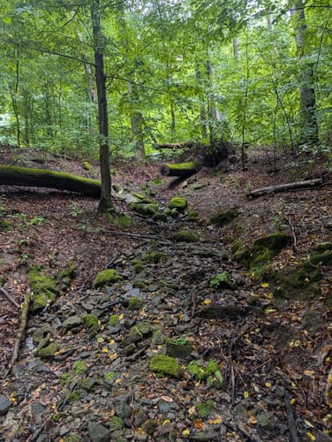 Münchwiesener Spitzbubenweg 13/14