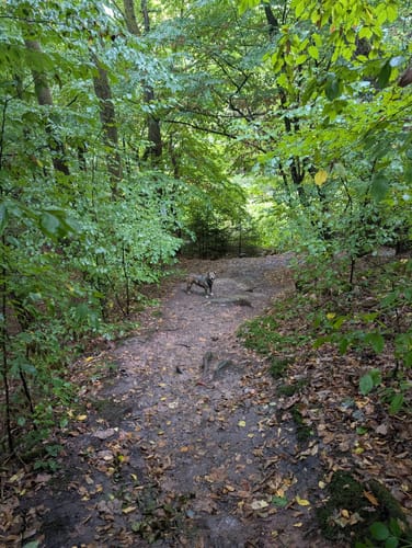 Münchwiesener Spitzbubenweg 13/14