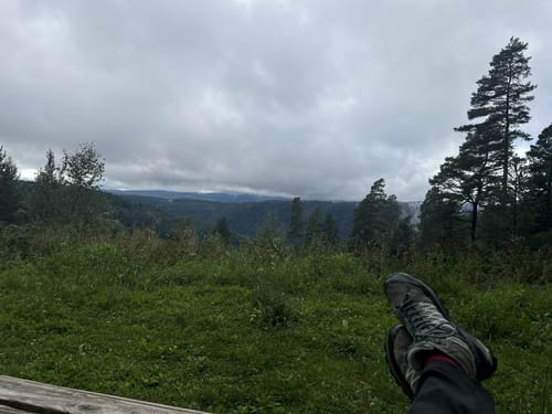 Felsenmeer zur Langenbrander Höhe