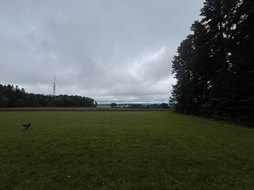 Felsenmeer zur Langenbrander Höhe