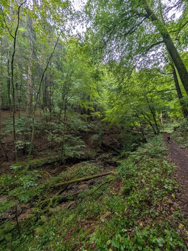 Münchwiesener Spitzbubenweg 13/14