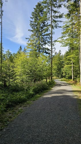 Baumwipfelpfad und Tier-Freigelände im Nationalpark Bayerischer Wald