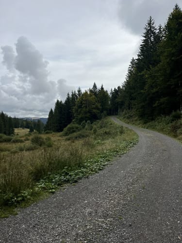 Trubelmattskopf