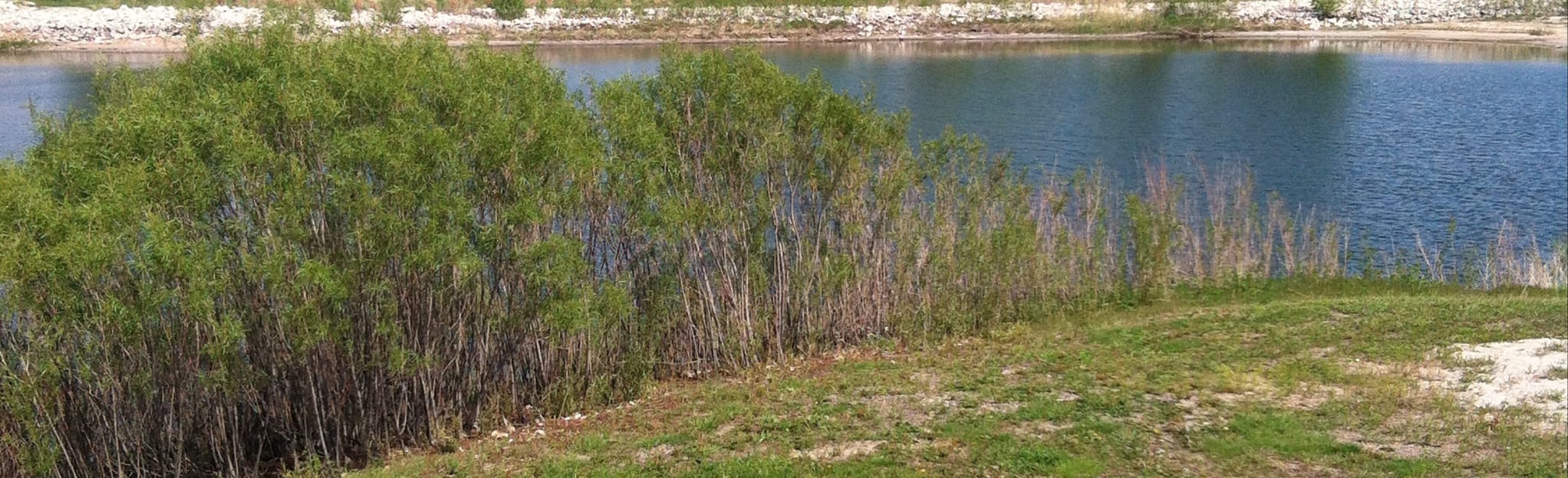 Johnson Lake Trail, Nebraska 9 Reviews, Map AllTrails