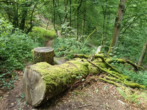 Hunolsteiner Klammtour (Traumschleife)