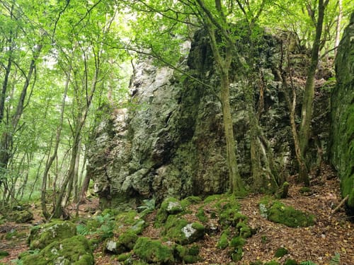 Hunolsteiner Klammtour (Traumschleife)