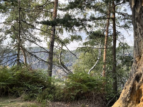 Malerweg Etappe 5: Neumannmühle - Schmilka