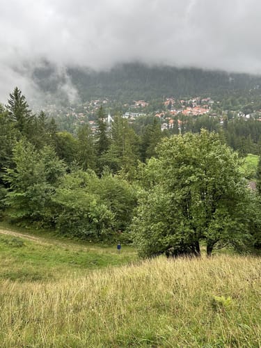 Burgruine Hohenwaldeck - Hirschgröhrkopf