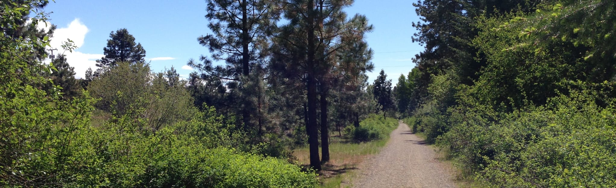 Coal Mines Trail, 154 Photos État de Washington AllTrails