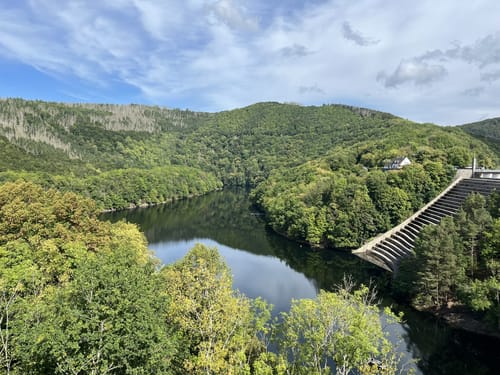Wildnistrail Etappe 2: Einruhr - Gemünd