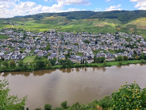 Moselsteig Seitensprung Kluckertspfad
