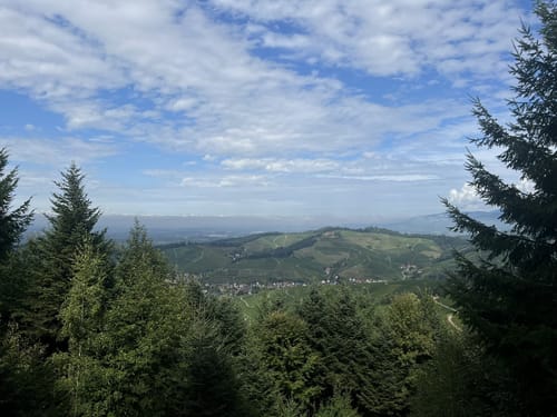 Durbacher Weitblick (Premiumwanderweg)