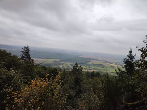 Donnersberg-Runde 1: Ludwigsturm-Weg