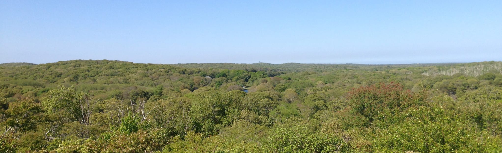 AllTrails Waskosim's Rock Reservation (Chilmark) 80 Reviews, Map