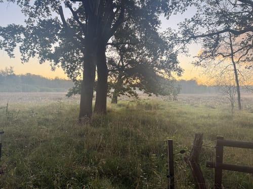 Treudelberg  - Wittmoor - Kupferteich