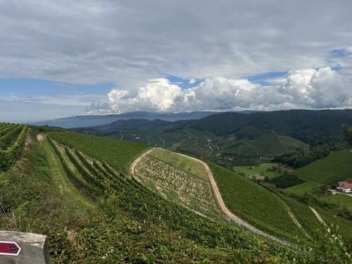 Durbacher Weitblick (Premiumwanderweg)
