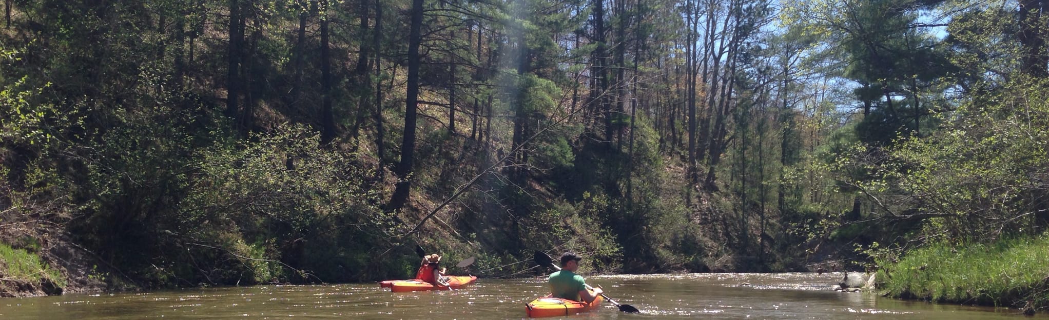 Pine River Kayak 18 Reviews, Map Michigan AllTrails