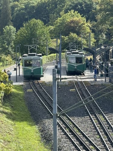 Königswinter - Drachenfels - Wolkenburg - Milchhäuschen