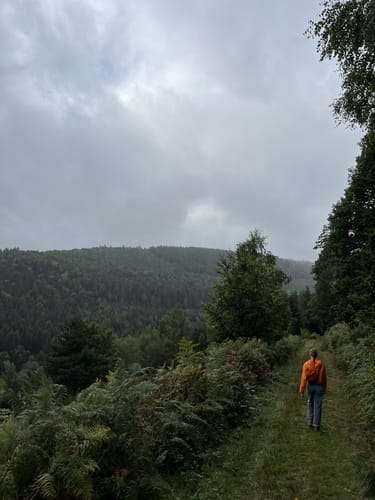 Rund um Sprollenhaus