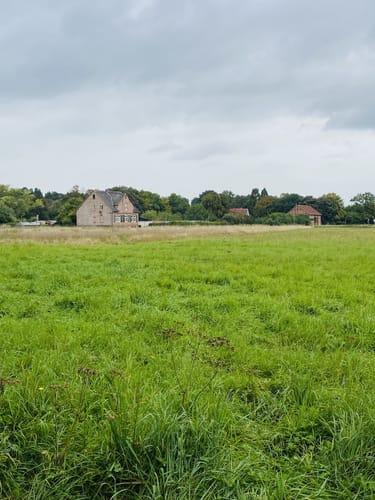 Karlsaue und Fuldaaue
