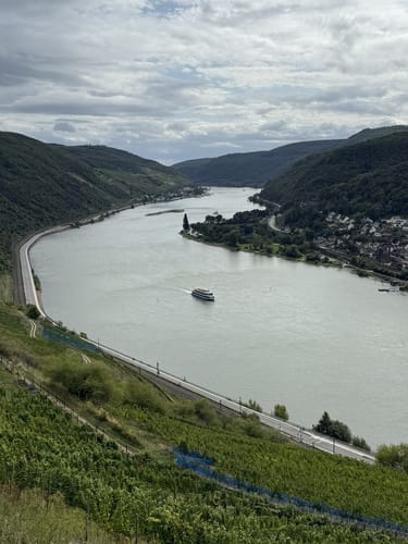 Rheinsteig Etappe 17: Lorch - Rüdesheim
