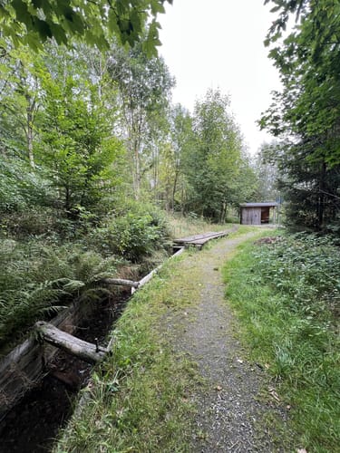 Greifensteine ab Ehrenfriedersdorf