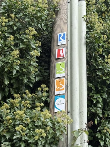 Rheinsteig Etappe 16: Kaub bis Lorch